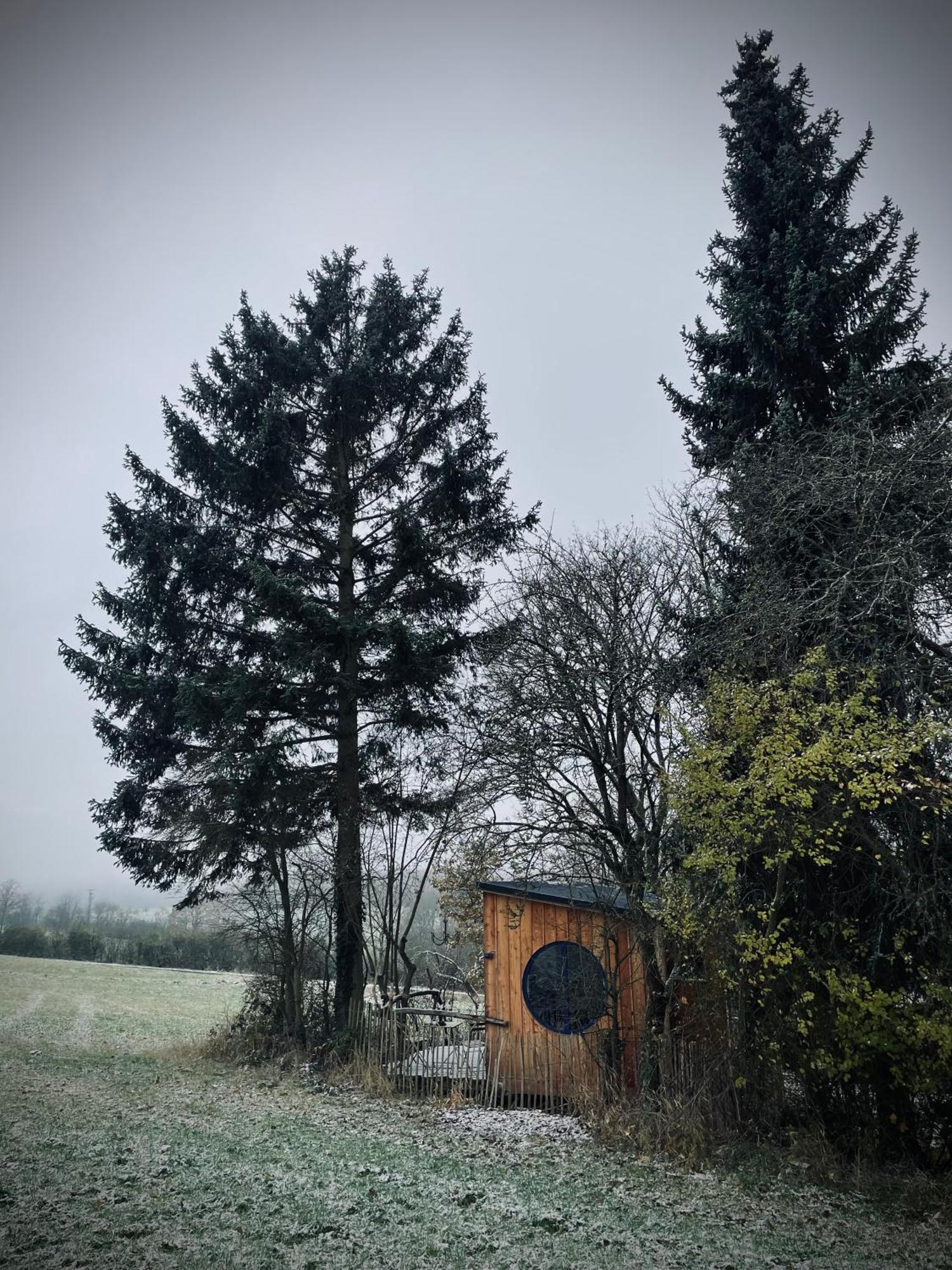 Eulennest - Tiny House Im Habichtswald Villa Schauenburg Buitenkant foto